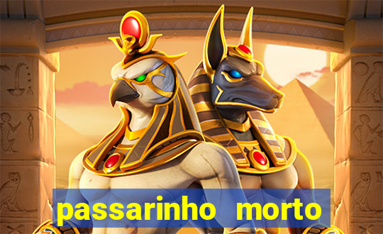 passarinho morto significado espiritual